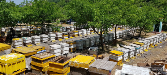 사진제공=경기도